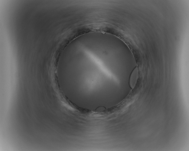 X0000113050913200909031329