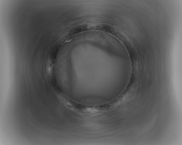 X0000113050914200909031329