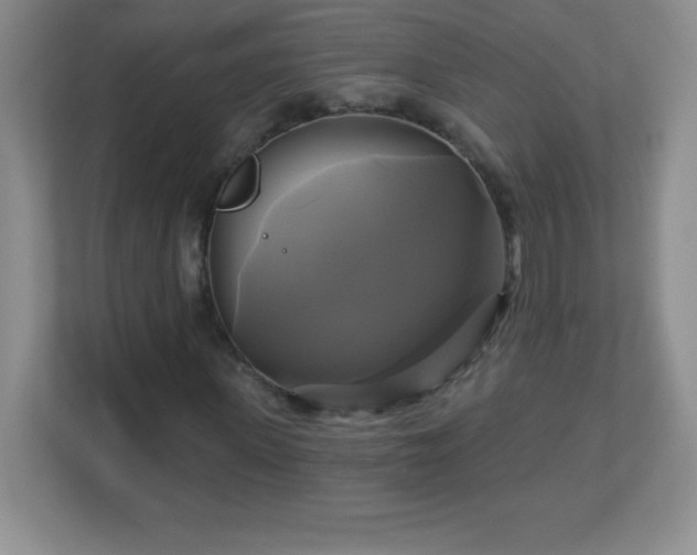 X0000113050915200909031329