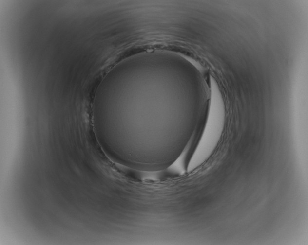 X0000113050916200909031329