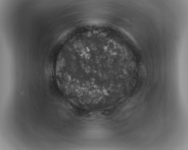 X0000113050918200909031329