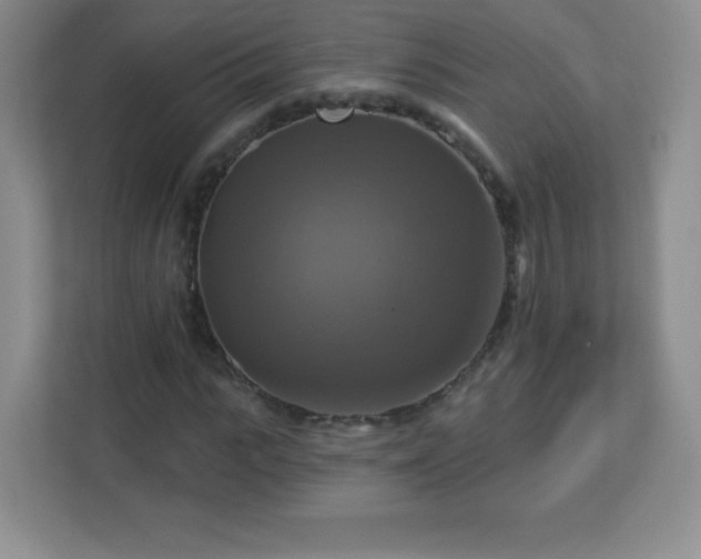 X0000113050919200909031329