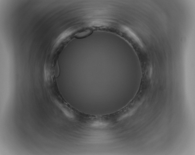 X0000113050920200909031329