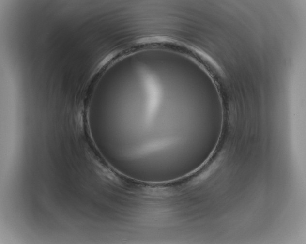 X0000113050921200909031329