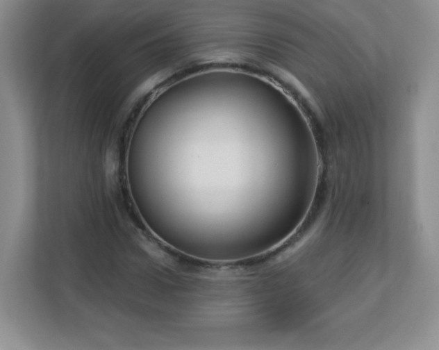 X0000113050922200909031329