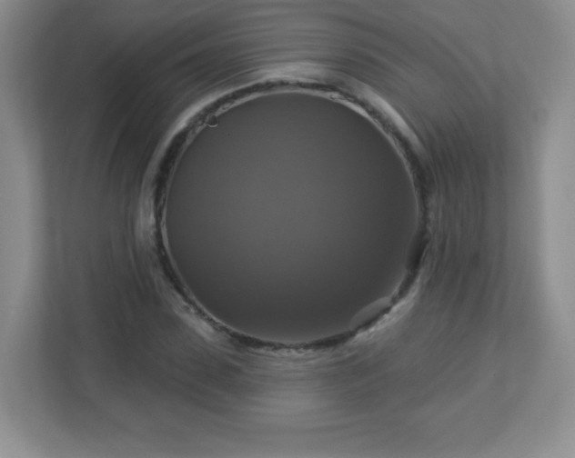 X0000113050923200909031329