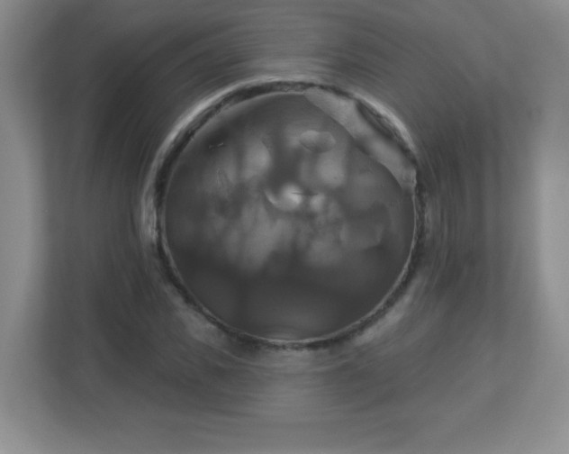 X0000113050925200909031329