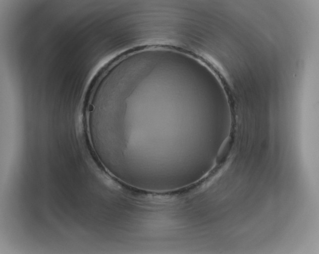 X0000113050928200909031329