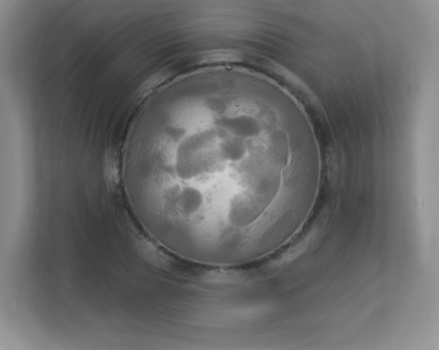 X0000113050929200909031329