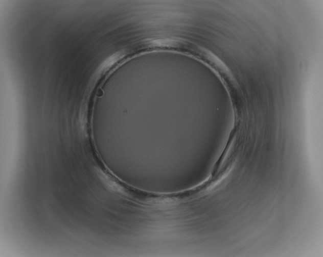 X0000113050930200909031329