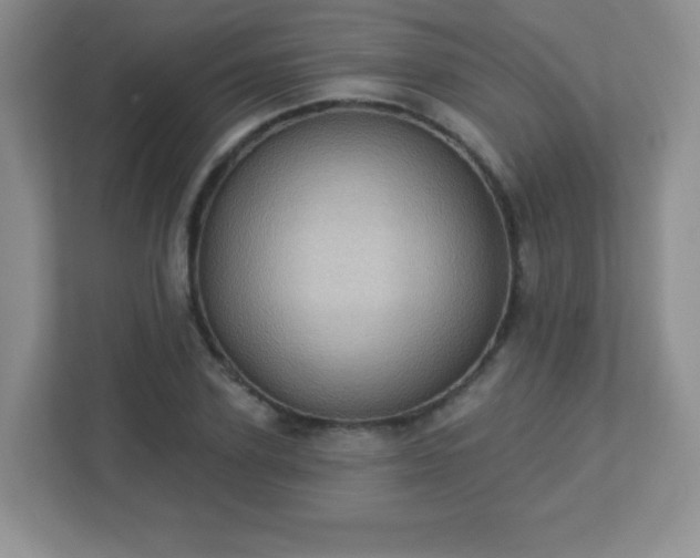 X0000113050931200909031329