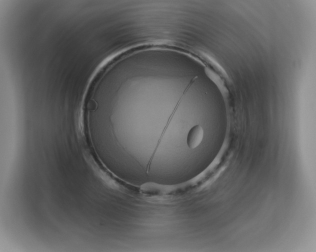 X0000113050932200909031329