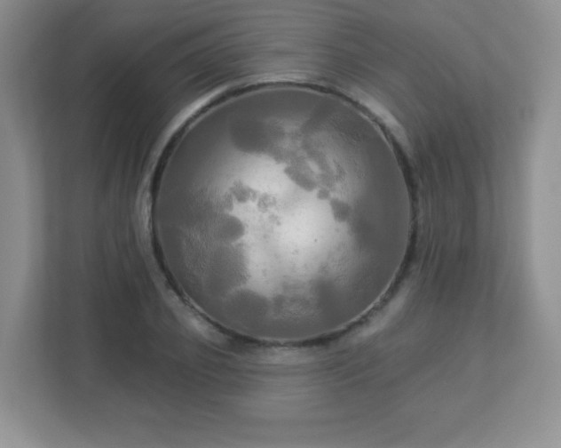 X0000113050933200909031329