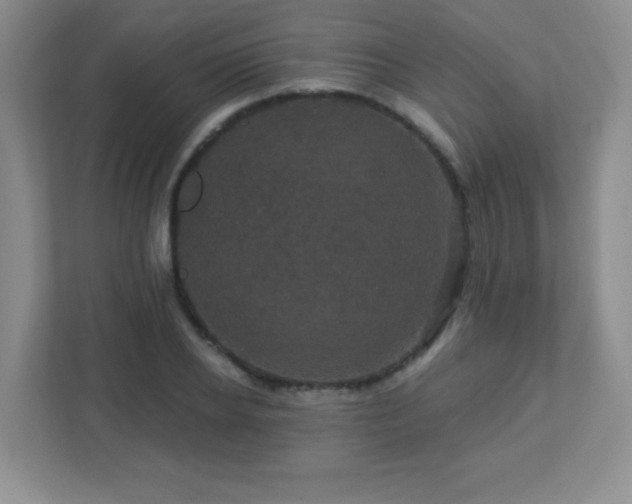 X0000113050934200909031329