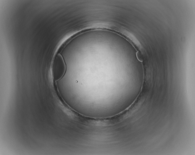 X0000113050936200909031329