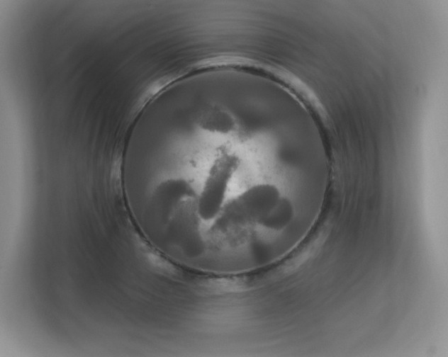 X0000113050937200909031329