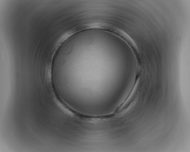 X0000113050938200909031329