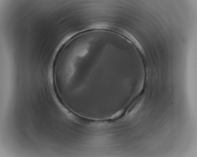 X0000113050939200909031329