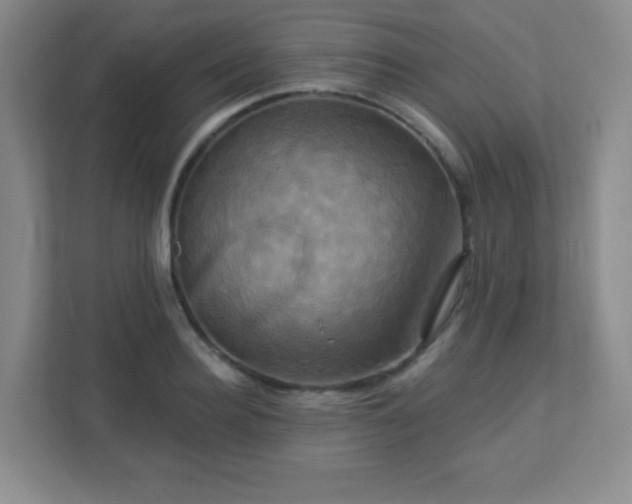 X0000113050940200909031329