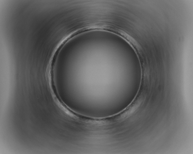 X0000113050941200909031329