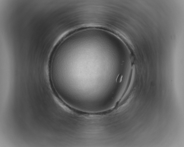 X0000113050942200909031329