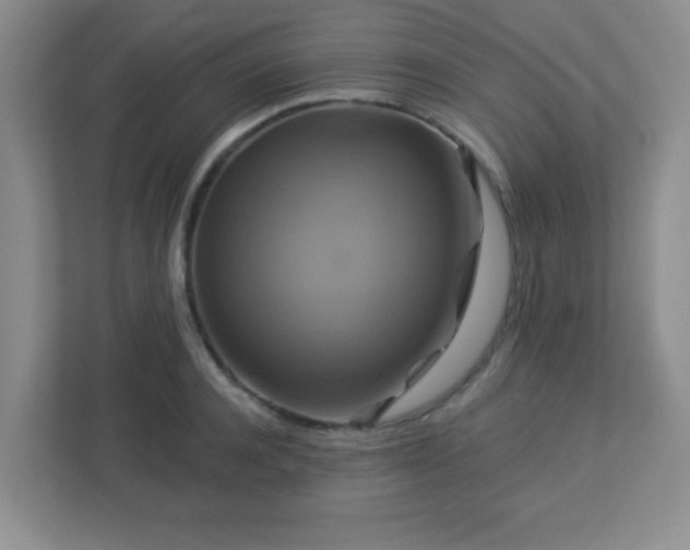 X0000113050944200909031329