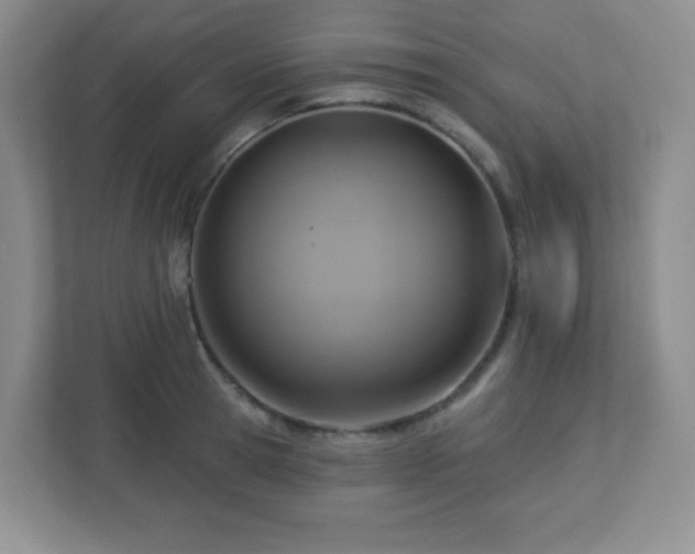 X0000113050945200909031329