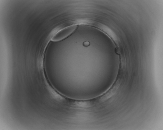 X0000113050946200909031329