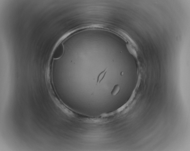 X0000113050948200909031329