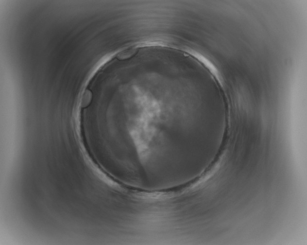 X0000113050949200909031329