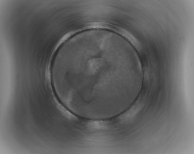 X0000113050950200909031329