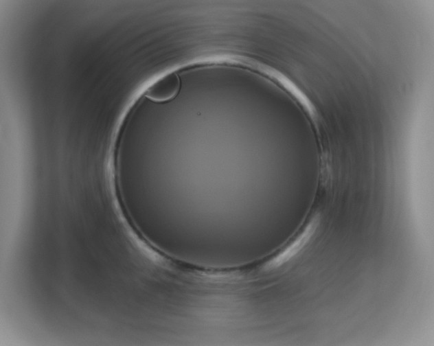 X0000113050951200909031329