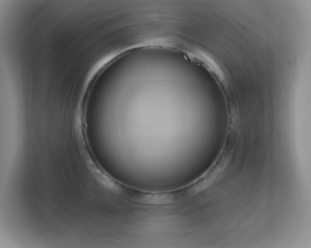 X0000113050952200909031329