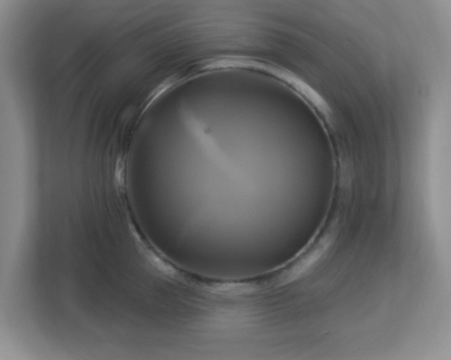 X0000113050953200909031329