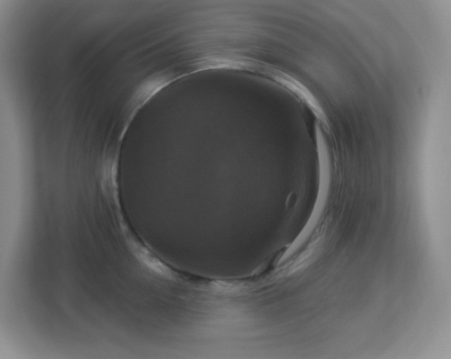 X0000113050954200909031329