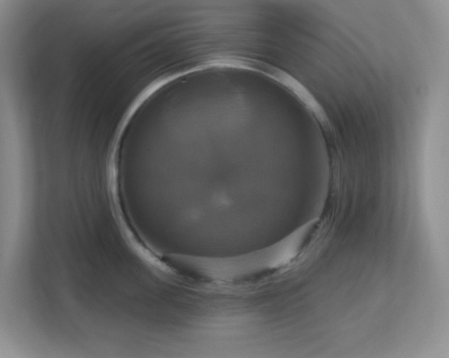 X0000113050955200909031329