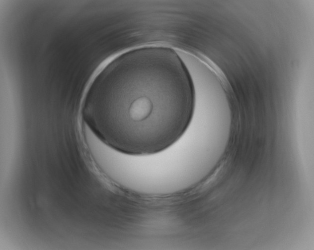 X0000113050956200909031329