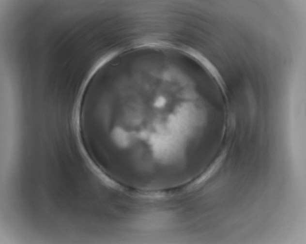 X0000113050957200909031329