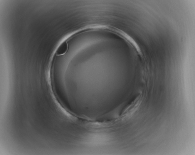 X0000113050959200909031329