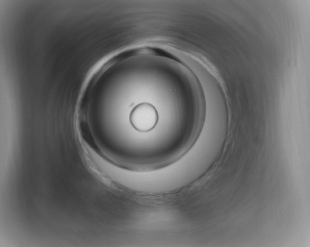 X0000113050960200909031329