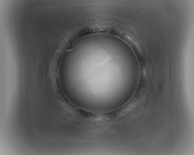 X0000113050961200909031329