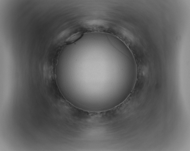 X0000113050965200909031328