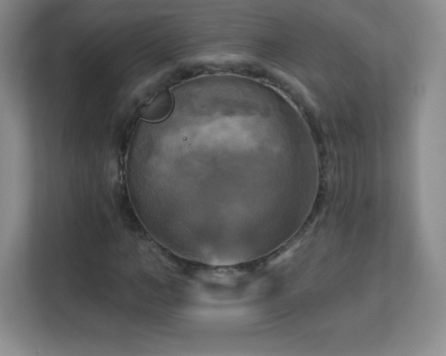 X0000113050966200909031328