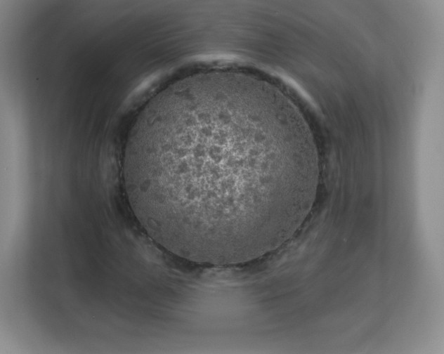 X0000113050967200909031328