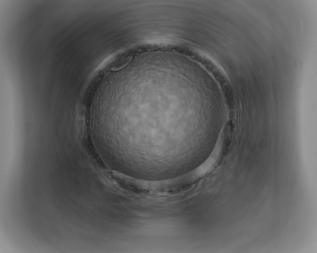 X0000113050968200909031328