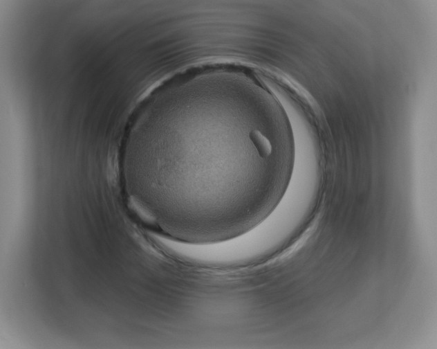 X0000113050969200909031328