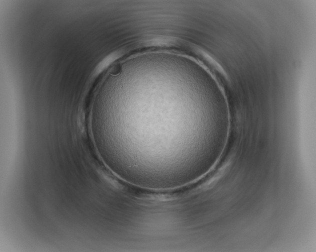 X0000113050970200909031328