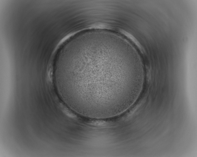 X0000113050971200909031328