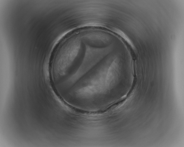 X0000113050972200909031328