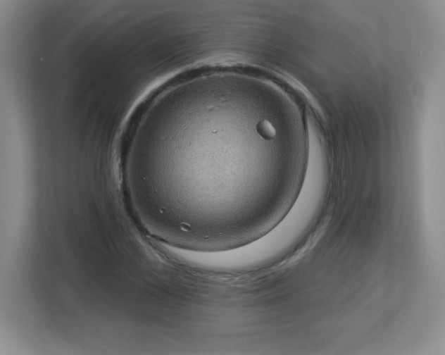 X0000113050973200909031328